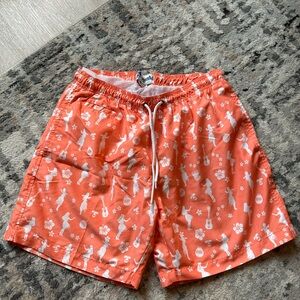 Men’s Trunks Swimsuit